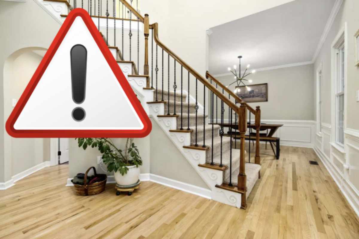 piante attenzione in casa