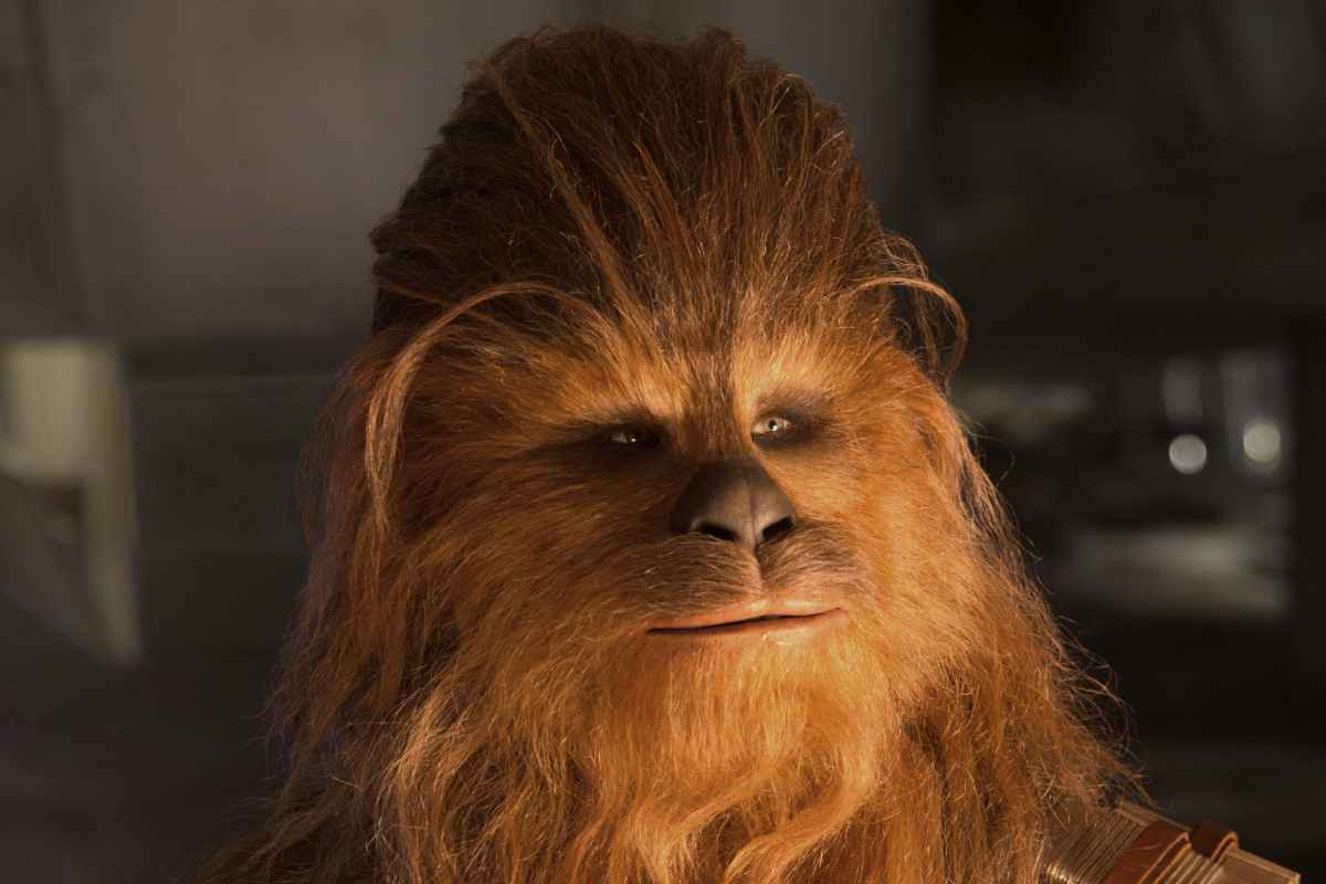 iridogorgia chewbacca