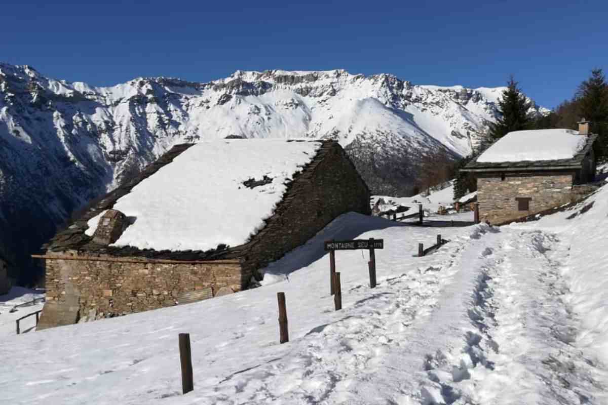 scopri la bellezza del bosco di Salbertrand